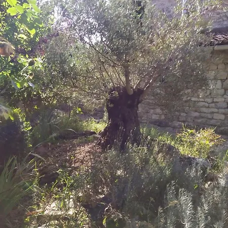 بيت للعطل Gite En Quercy Monteils (Tarn-et-Garonne)